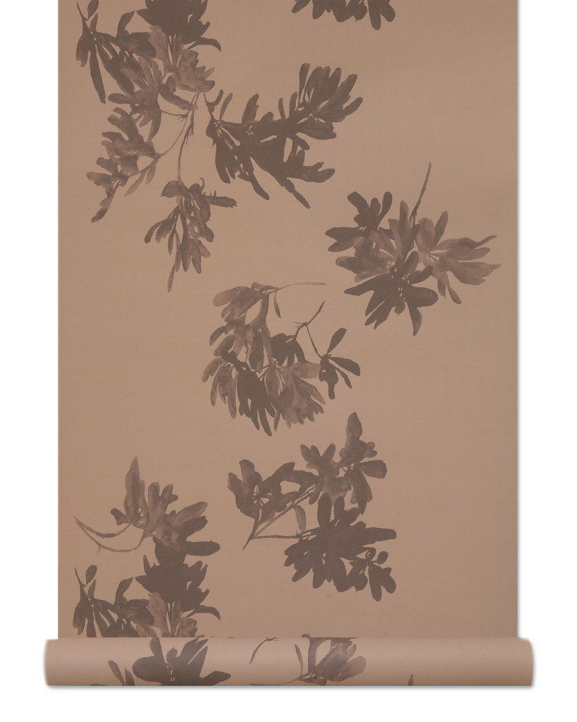 Pittosporum Wallpaper