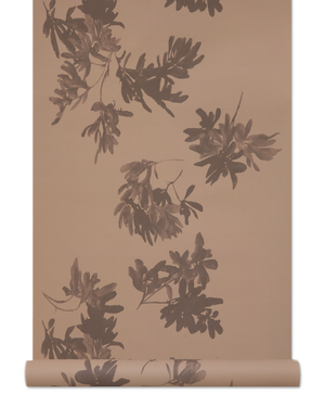 Pittosporum Wallpaper