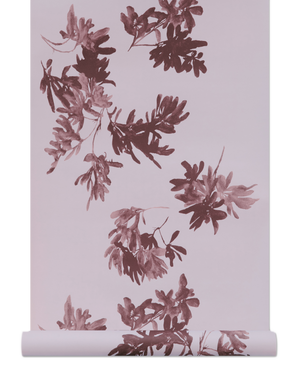 Pittosporum Wallpaper