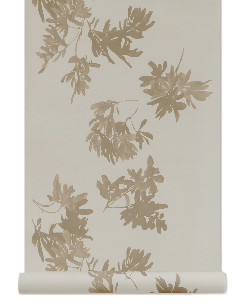 Pittosporum Wallpaper