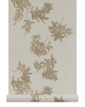 Pittosporum Wallpaper